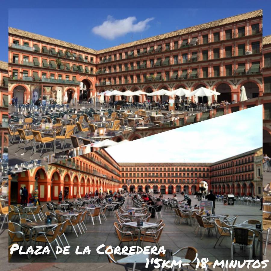 Tati Flat - "Parking Facil" Leilighet Córdoba Eksteriør bilde